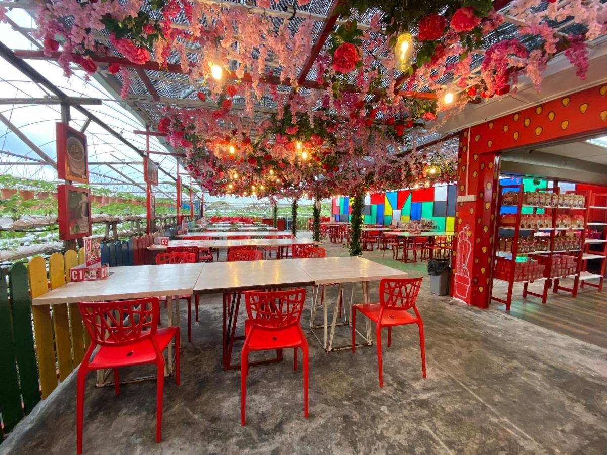 Aiza Homestay Opposite Abang Strawberry Taman Sedia Tanah Rata Exterior foto